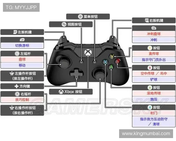 星空足球官网版登录入口：官方登录入口地址及安全验证流程详解
